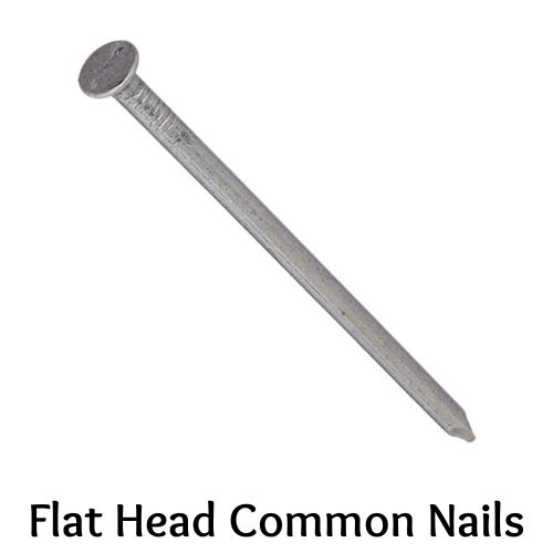 Flat Head Common Nails