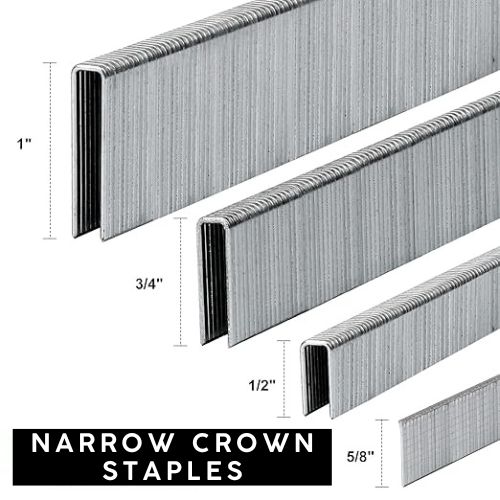 Narrow Crown Staples