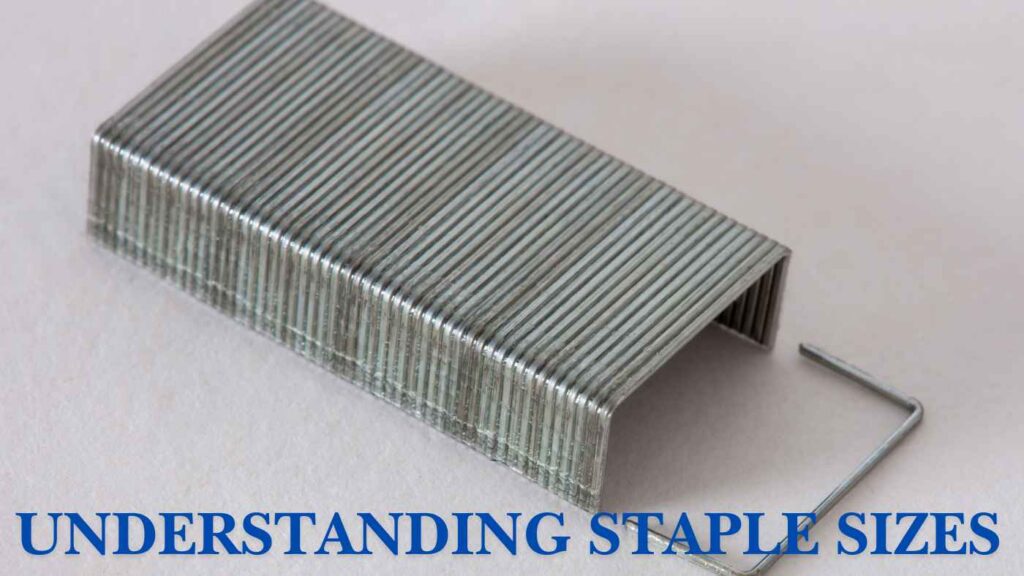 Understanding Staple Sizes