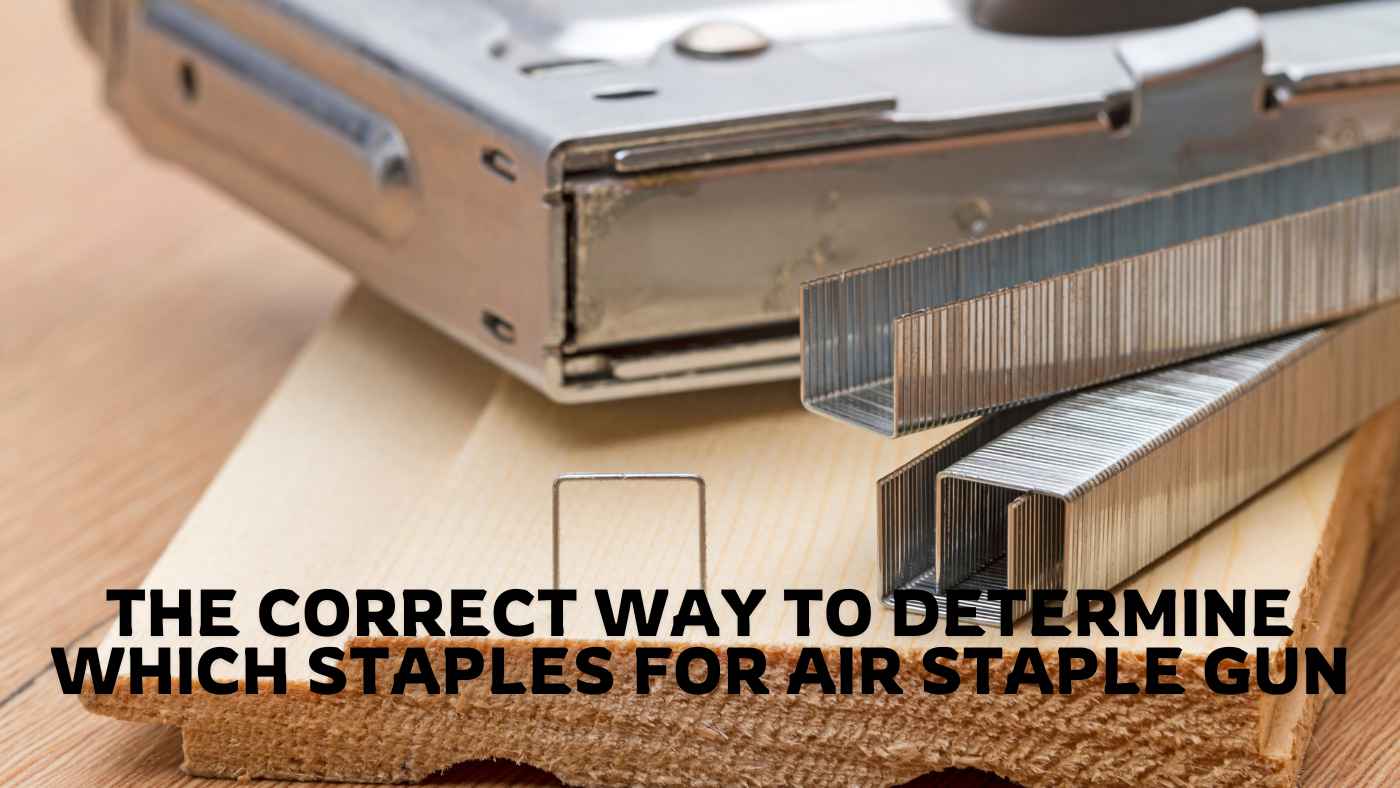 Staples for Air Staple Gun