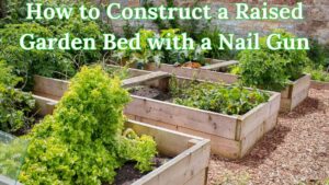 How to Construct a Raised Garden Bed with a Nail Gun