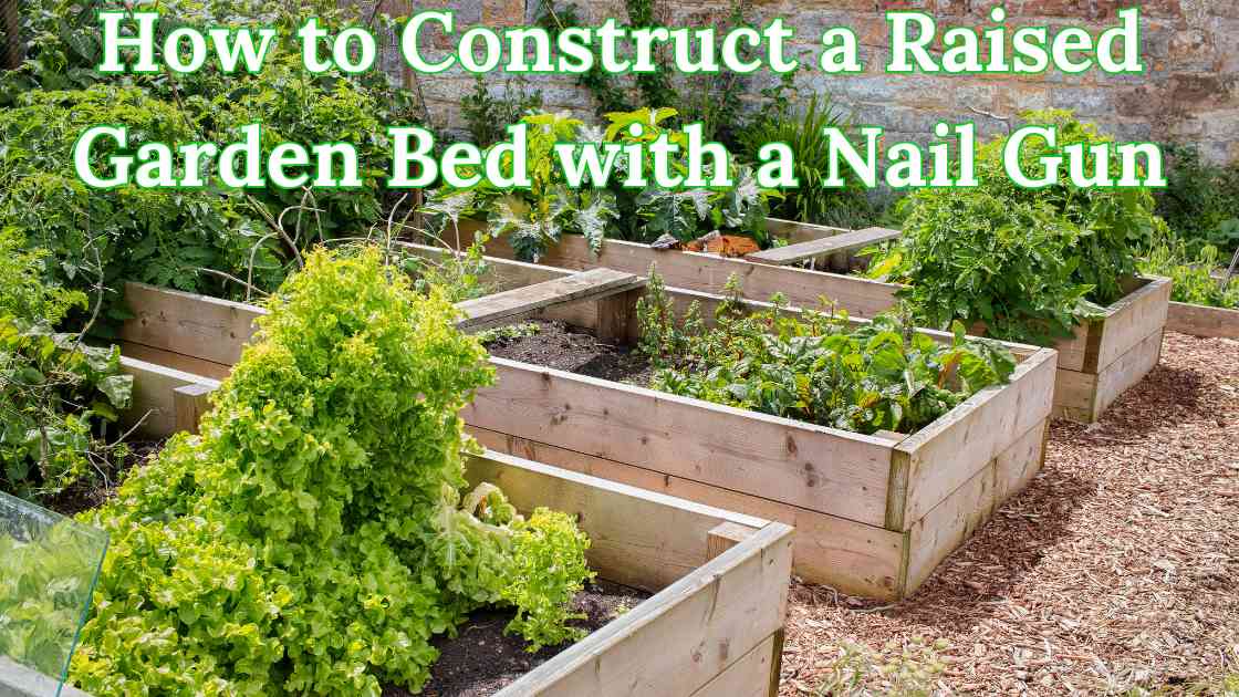 How to Construct a Raised Garden Bed with a Nail Gun